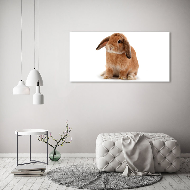Red-Haired Rabbit - Wrapped Canvas Print