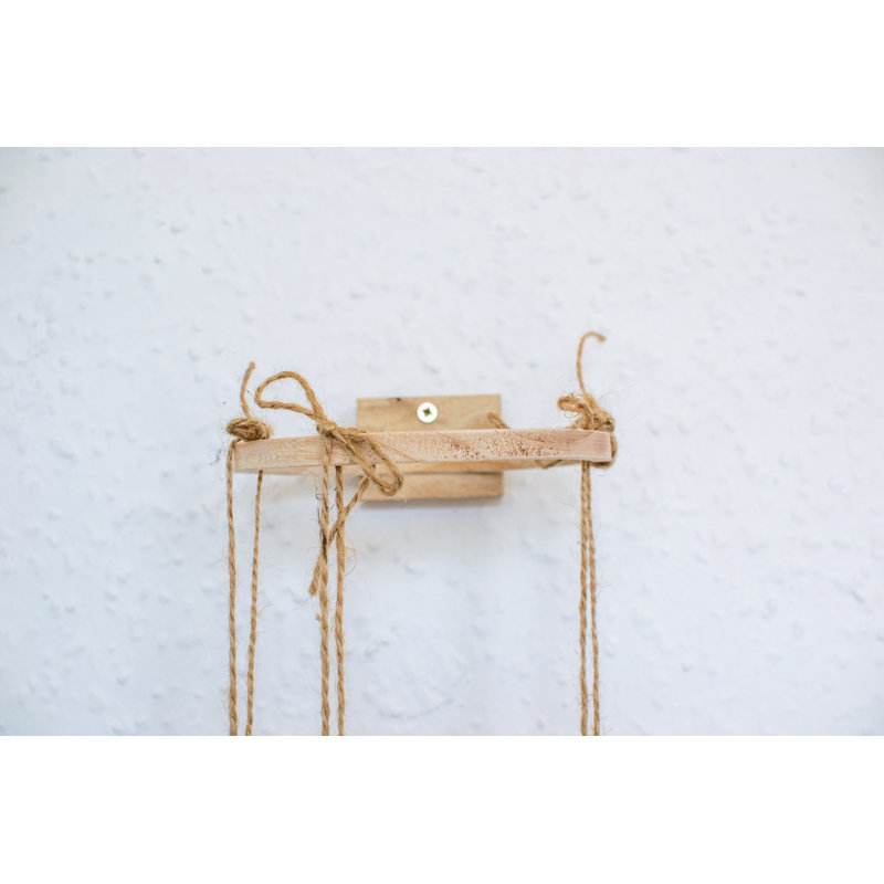 Clarine Wall Planter