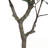 51" Artificial Ficus Tree with Plastic Pot