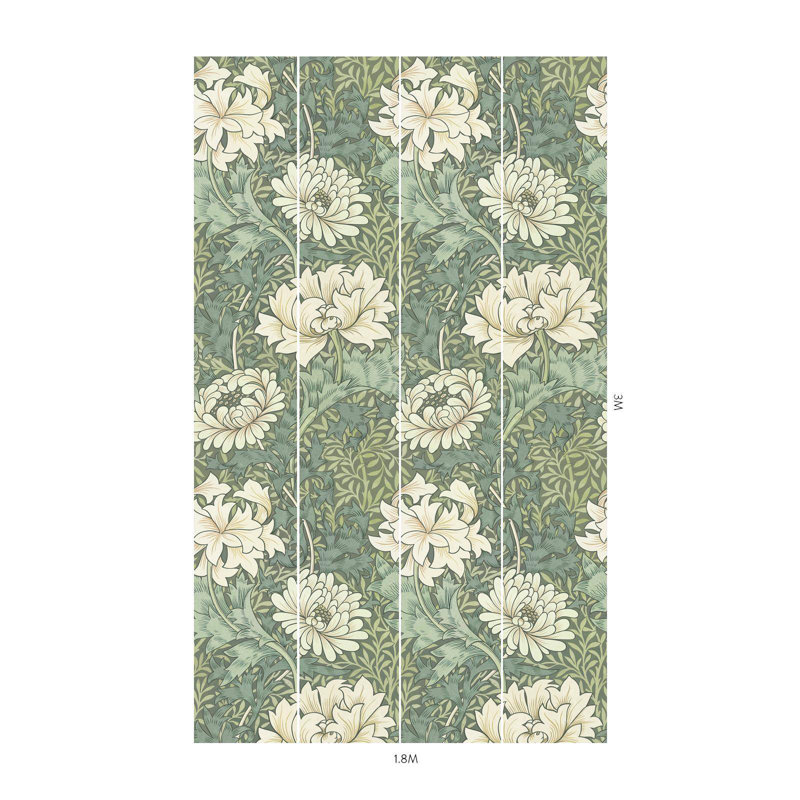 CHRYSANTHEMUM MAGNA Wallpaper - Sap 9'10" - full height wallpaper