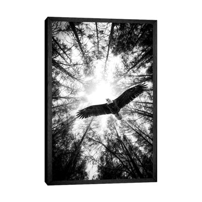Master Of Heaven Bold Eagle B&W by Nik Rave - Print on Canvas