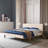 Cholet Tufted Upholstered Low Profile Platform Bed-495337779-442087466