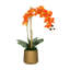 Orchid Arrangement In Round Pot With Orchid Leaves