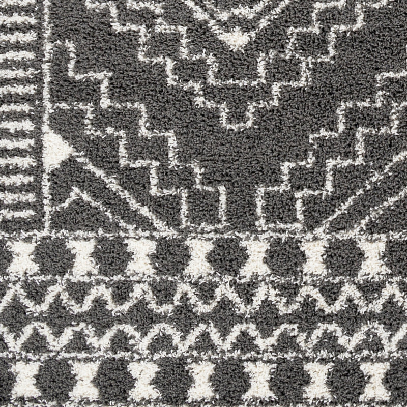 Leopold Southwestern Indoor Rug, Rectangle 5'2" x 7'