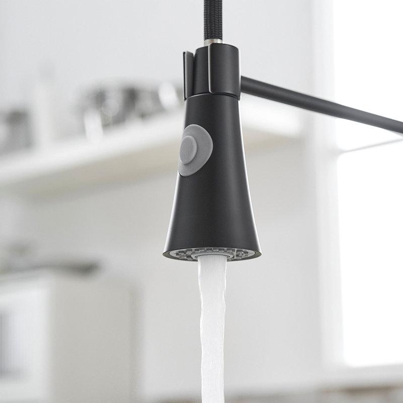 Robinet de cuisine commercial avec douchette extractible, robinet d'évier de cuisine à poignée simple, Noir