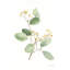 «Flowers of the Wild I» par Katrina Pete - Peinture-509998787-509998776-470834105