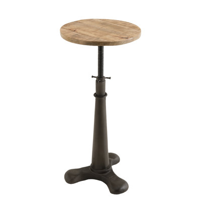 Seaton Swivel Adjustable Height Counter Stool with Metal Frame