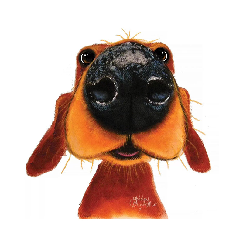 Nosey Nando by Shirley Macarthur - Gallery-Wrapped Canvas Giclée on Canvas, 30.48 cm H x 30.48 cm W, Canvas