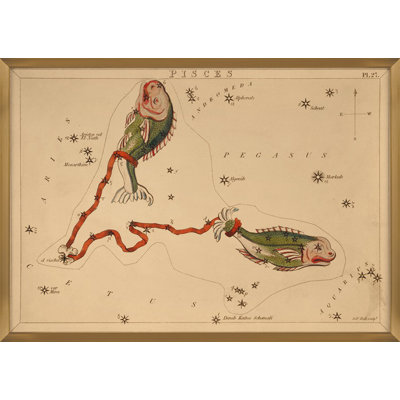 Pisces Print by Grand Archives
