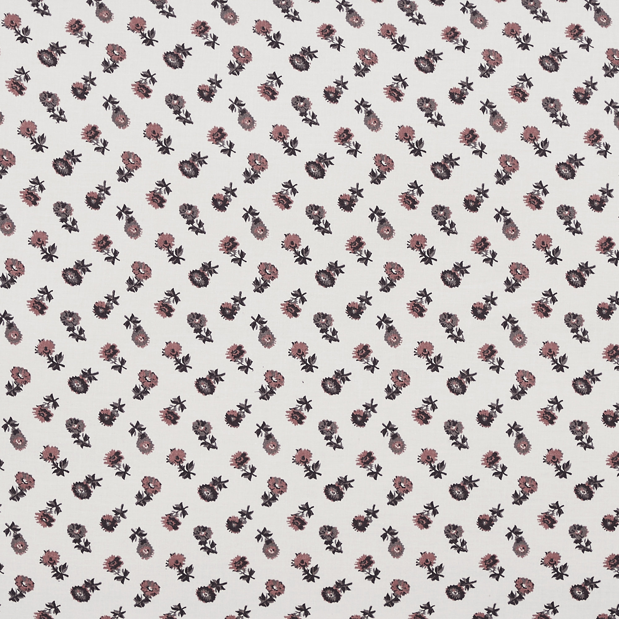 Fitzgerald 100% Cotton - Set of 2, Standard
