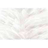 Badgett Monochrome Scandinavian Abstraction Feather Wall Mural