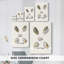 Pastel Knorr Shells III - Cavas enveloppés de galerie-108825284