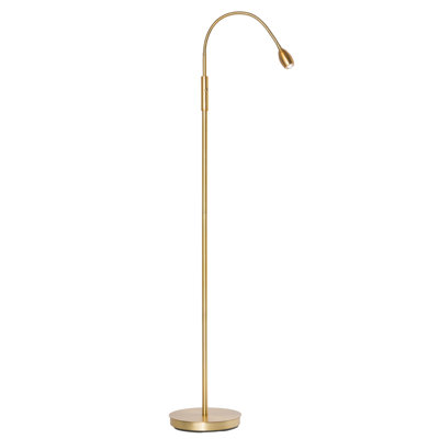 Natural Daylight Focused Beam Adjustable Beam LED Floor Lamp