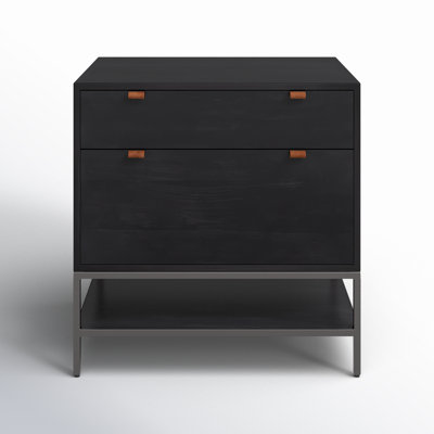 Loki 30'' Wide 2 -Drawer Solid Wood File Cabinet