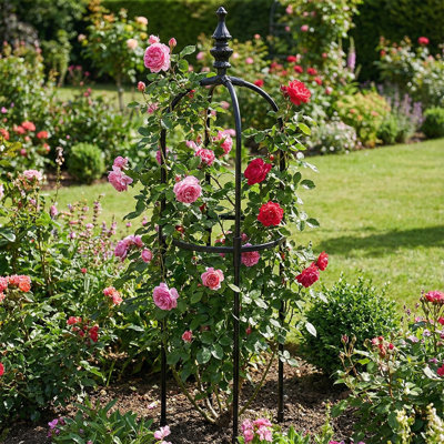 35,43 po Stelldy Garden Trellis Climbing Plant Trellis Cage