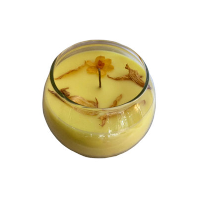 Darrius Daffodil Scented Jar Candle