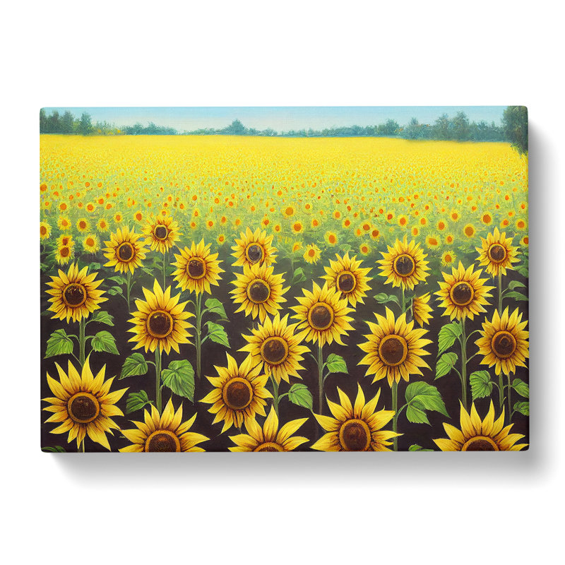 Amazing Sunflower Field - Wrapped Canvas, 40cm H x 60cm W x 3cm D