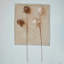 Tige de fleur en plumes biologiques