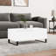 Azianna Sled Coffee Table with Storage-1224629055