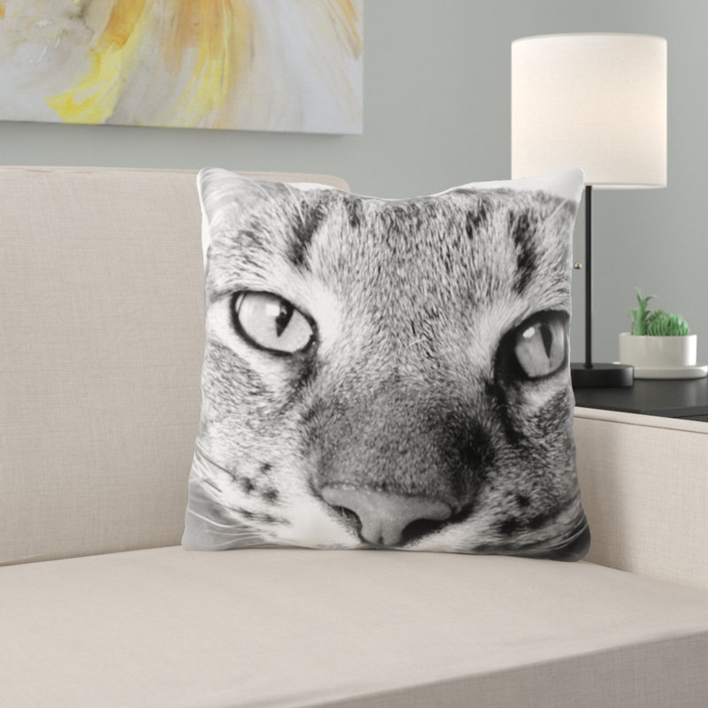 Coussin pour chat