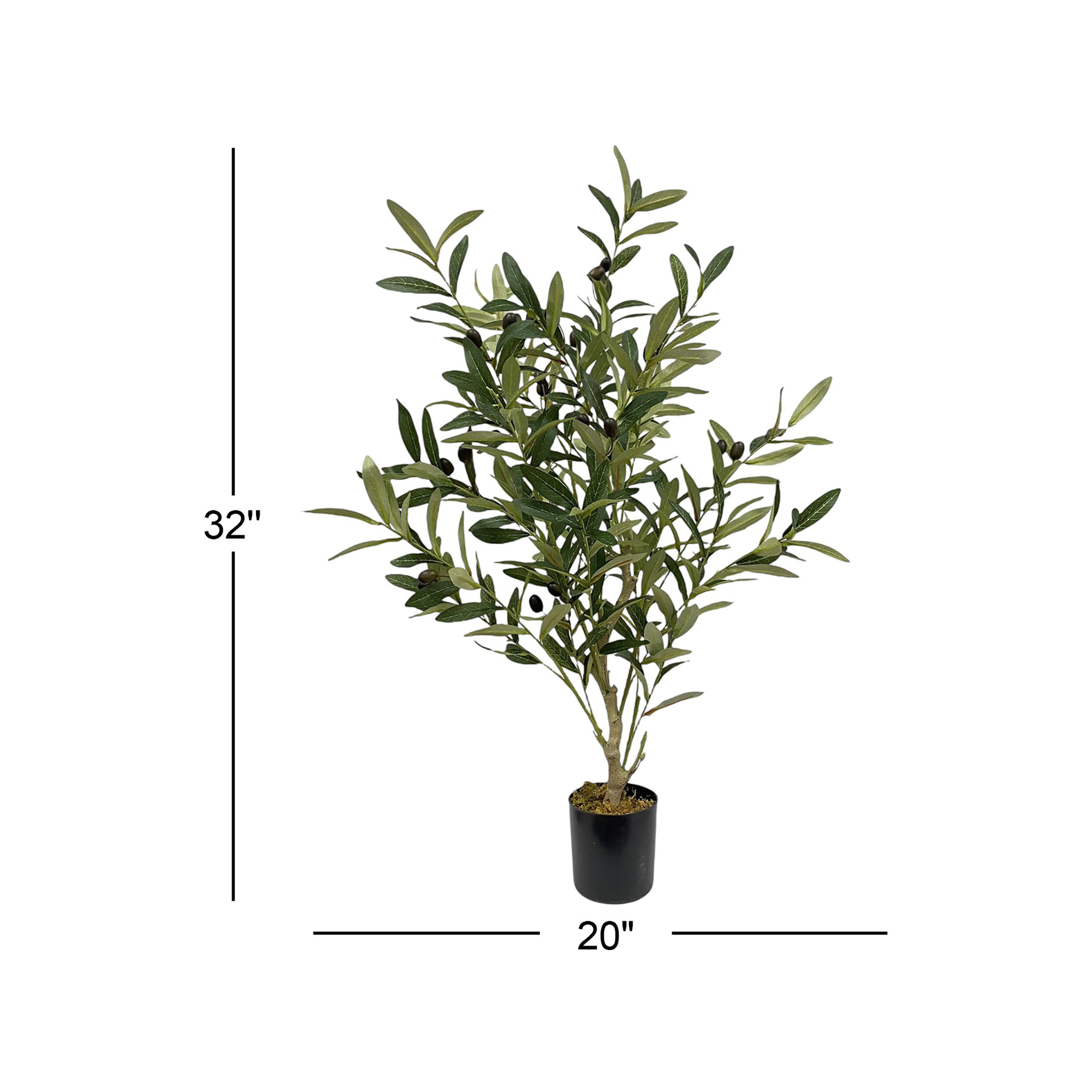 32'' Plant
