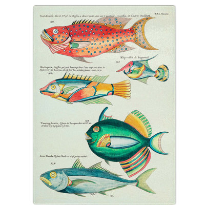 Glass East indies Fish Illustrations Xxi by Louis Renard Chopping Board