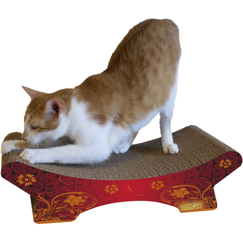 Anton Scratching Post