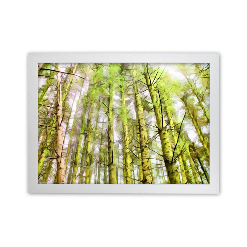 Woodland - Print on Canvas, White Framed, 25cm H x 34cm W x 3cm D