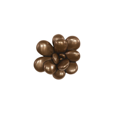 Oviferum Succulent Wall Art, Imperial Bronze