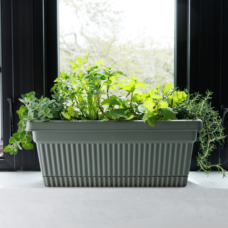 Vaneka 18-in Width Plastic Fluted Window Box Planter With Saucer Tray, Green