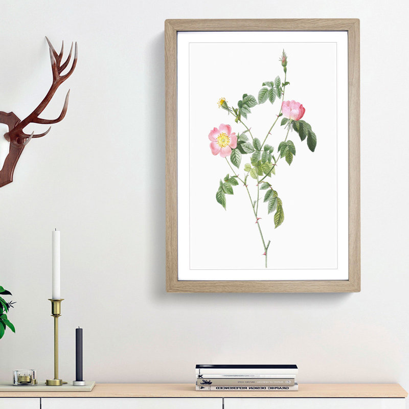 Austrian Briar Rose In Pink by Pierre-Joseph Redoute - Single Picture Frame Painting, Oak Framed, 45cm H x 33cm W x 2cm D