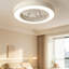 Ceiling Fan with LED Lights