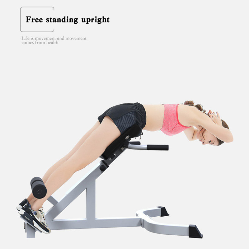 Adjustable Roman Chair Back Extension Bench