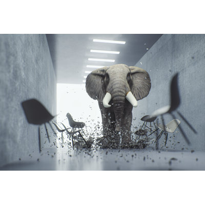 Angry Elephant in The Office by Gremlin