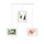 Exhibit Wall Picture Frames, Set of 3-55374967