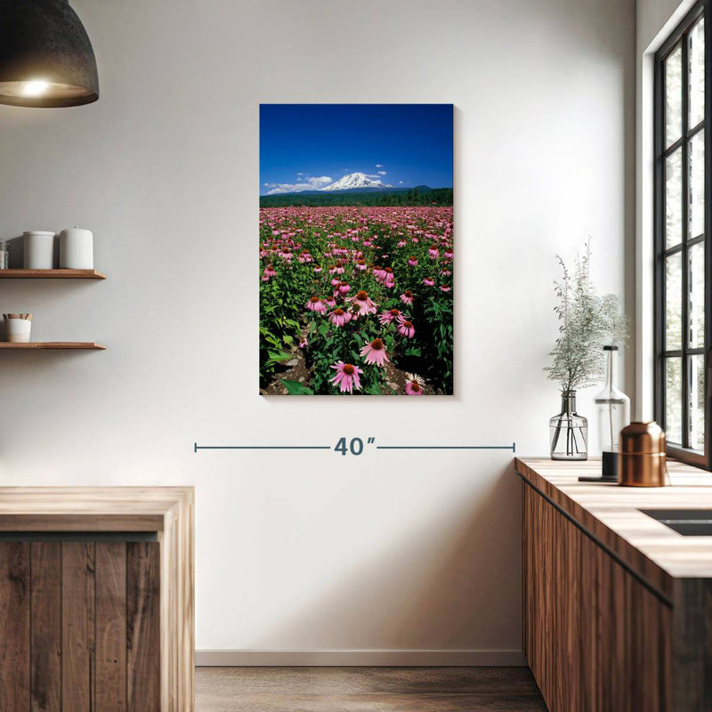 Harnek Echinacea Field, 36" H x 24" W