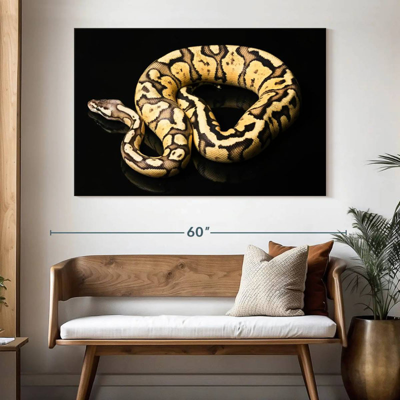 Brampt Female Python Snake, 34" H x 51" W