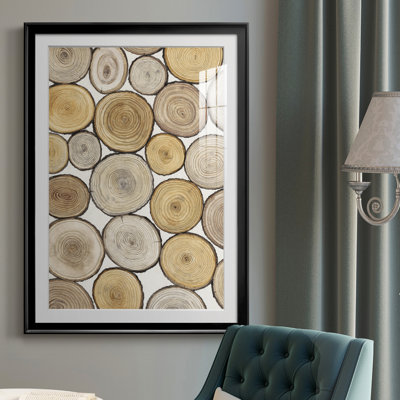 " Tree Ring Study I "