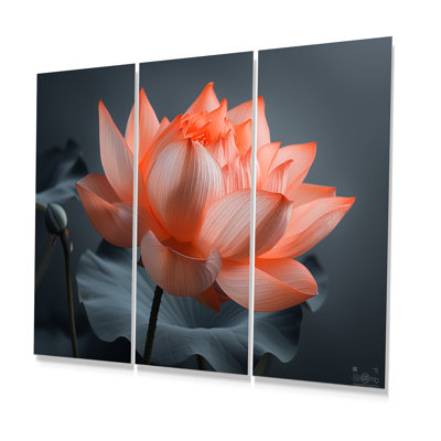 Ensemble de salon Gerken - Lotus