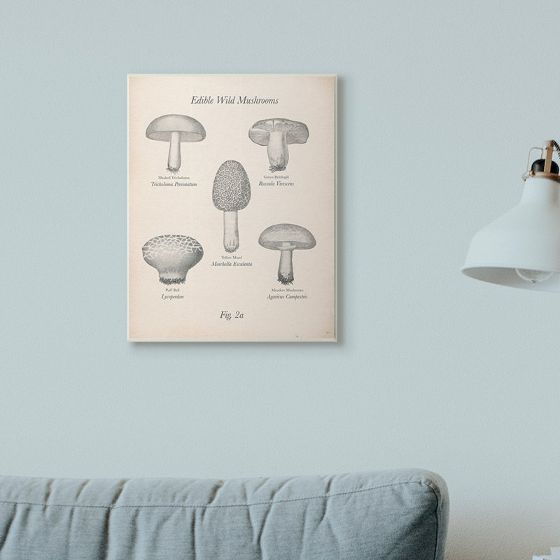 « comestible sauvage à la conception rétro » par le samedi soir, reproduction d’art, Plaque murale