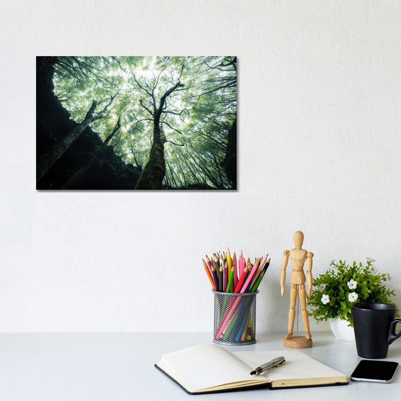 Growing towards the Light 1 Piece Wrapped Canvas Wall Art, 20.32 cm H x 30.48 cm W