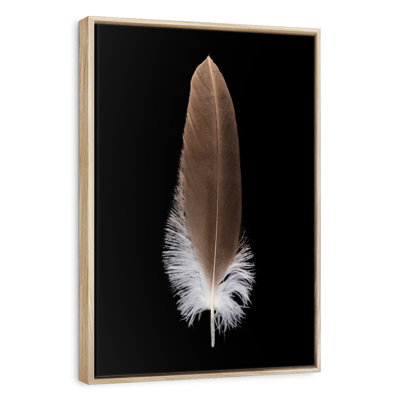 Eagle's Brown Feather