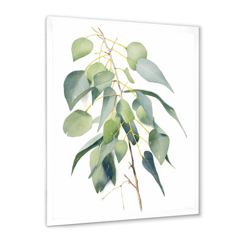 Vert, blanc, minimalisme, eucalyptus Essence I, Cadre simple blanc, H 40 po x l 30 po x P 1 po