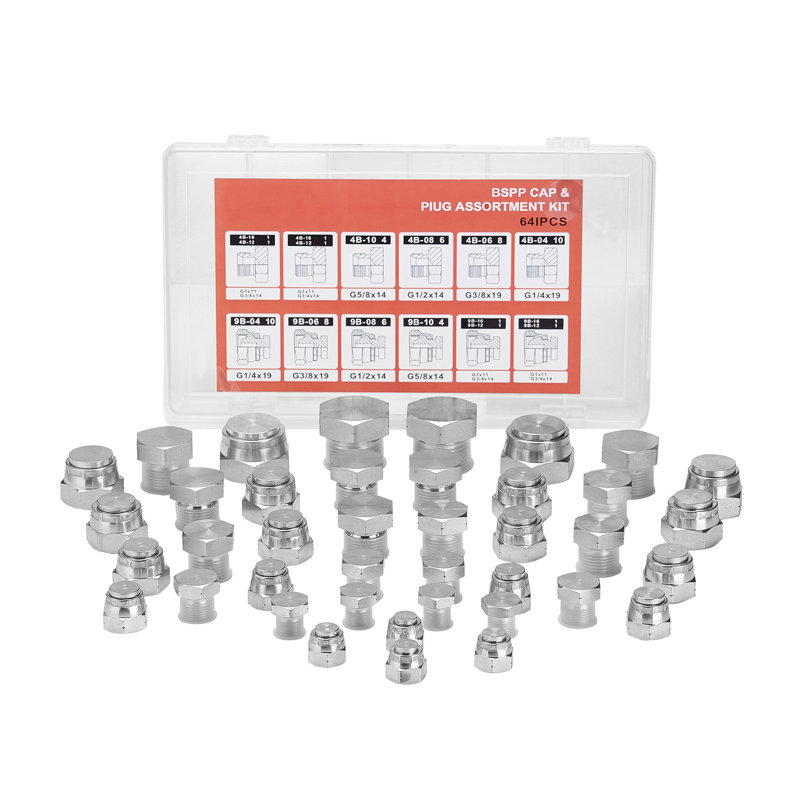 Ensemble 64 pièces de capuchons et de bouchons hydraulique BSPP - Ensemble d'adaptateurs en acier galvanisé avec étui de rangement