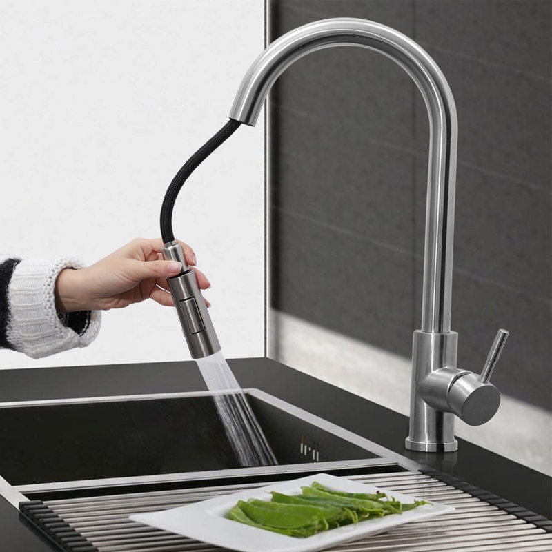 Belfry Bathroom Gaelan Pull Out Kitchen Faucet