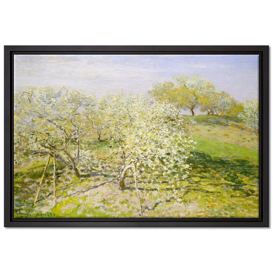 Gerahmtes Leinwandbild Spring Apple Trees in Bloom von Claude Monet