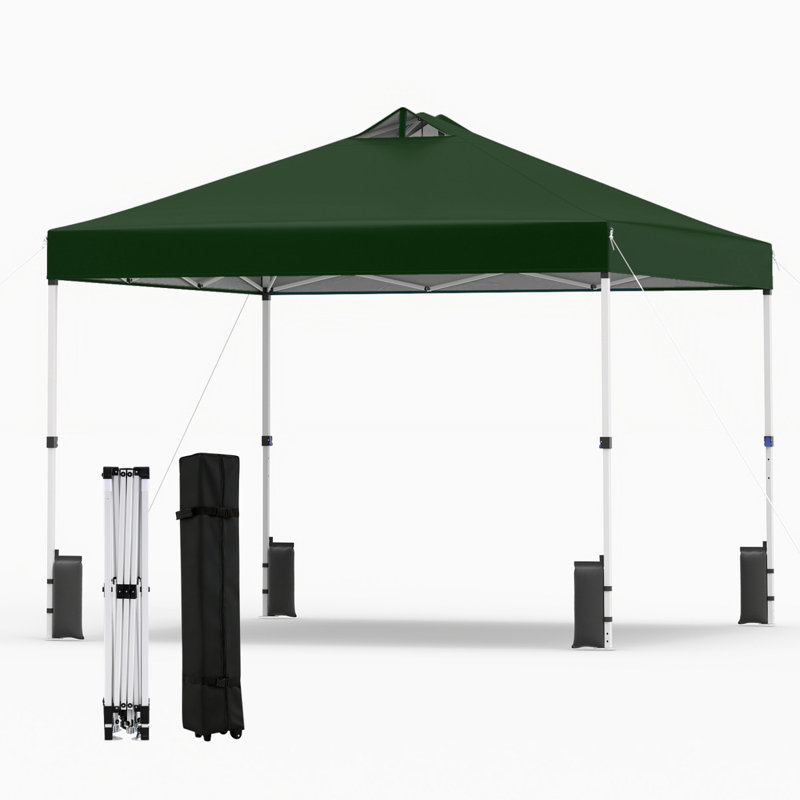 Tente de pavillon escamotable extérieure durable et facile à installer de 10 pi x 10 pi pour une utilisation lors d'une fête dans la cour