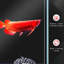 Réservoir d'aquarium 65 à 79 gallons-118741511