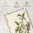 Peppers And Insects-1567439326
