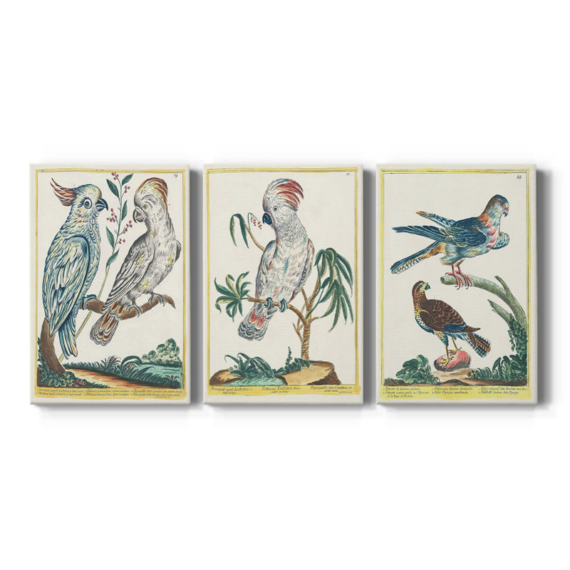 Oiseaux pastel I - Toile tendue avec châssis sur mesure - 3 pièces, H 12 po x l 24 po